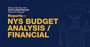 New York State Budget Analysis and Financial Reporting