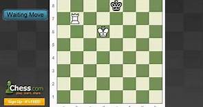 Chess Endgames: Checkmating with a Rook