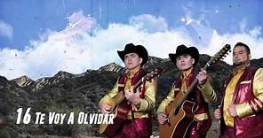 Te Voy A Olvidar - Los Plebes del Rancho de Ariel Camacho - DEL Records 2016