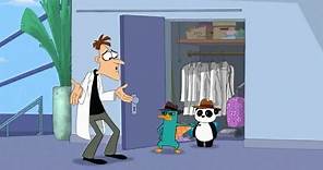 Perry Catches Doofenshmirtz Cheating With Peter The Panda (1/3)