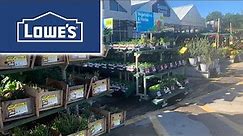 Lowes Inventory February 2024 Vegetables Garden Shop With Me #lowestprices #vegetables #garden