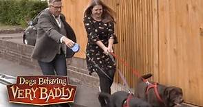 Dogs Behaving Very Badly - Series 1, Episode 1 | Full Episode