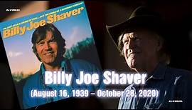Billy Joe Shaver - I'm just an old chunk of coal (1981)