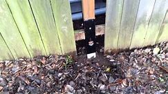 Fence Post Repair with Simpson Strong Tie E-Z mender FPBM44E
