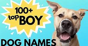 Top 100 Unique MALE Dog Names– Unusual Male Dog Names
