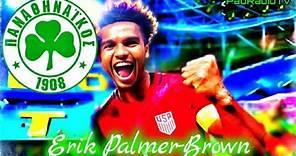 Erik Palmer - Brown (Best Moments) Welcome To Panathinaikos
