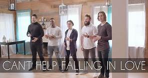 Can't Help Falling In Love | VoicePlay A Cappella
