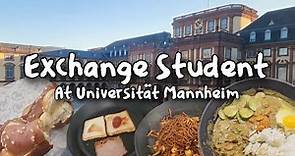 A Day in the Life of an Exchange Student at Mannheim University