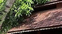 Kerala's traditional wooden interior design