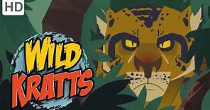 Wild Kratts - The Deadliest Felines in Nature