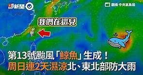 第13號颱風「鯨魚」生成！ 周日連2天濕涼北、東北部防大雨