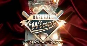 Baseball Wives Intro