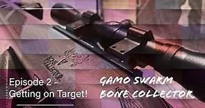 TECH TIPS - Getting our Gamo Swarm Bone Collector On Target - Let’s sight in the scope!