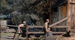 The Forest Rangers (1942) Fred MacMurray Paulette Goddard Susan Hayward
