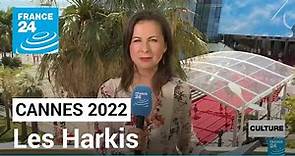 Cannes 2022: Algerian War of Independence depicted in 'Les Harkis' • FRANCE 24 English
