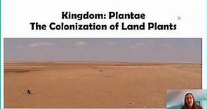 Introduction to Kingdom Plantae