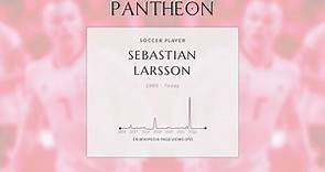 Sebastian Larsson Biography - Swedish footballer