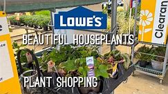 Clearance Section at Lowes & Plant Shopping for Beautiful Houseplants!