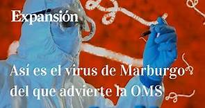 La enfermedad de Marburgo, el virus de la familia Ébola que ha encendido las alarmas en África