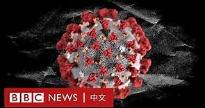 肺炎疫情：英國科學家成功複製冠狀病毒，疫苗將進行首次臨床試驗－ BBC News 中文