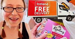 The ICELAND ONLINE SHOPPING Delivery Came! Daily Vlogs, UK.