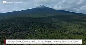 Parque Nacional La Malinche, museo vivo de flora y fauna
