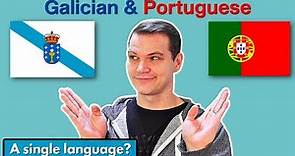 Galician vs Portuguese (How SIMILAR are they?)