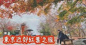 高尾山一日遊！紅葉🍁美食🍡登山纜車🚠日本東京近郊最新現況。