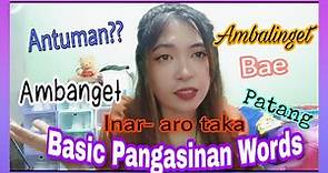 Basic Pangasinan Words | How to speak / Learn Pangasinan Language | Leslie Mondero