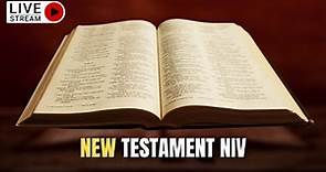 The Holy Bible : Complete NEW TESTAMENT Audio Bible (NIV Dramatized)