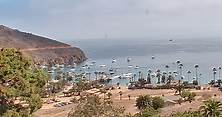 Two Harbors Webcam | Live Views of Catalina Island | Visit Catalina Island