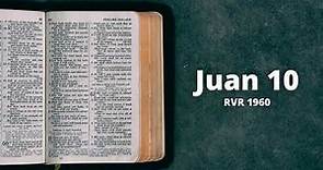 Juan 10 - Reina Valera 1960 (Biblia en audio)