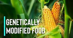 The Pros and Cons of Genetically Modified Food as a Solution to World Hunger