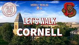 Cornell University - 4K Let's Walk the Big Red Campus! Ithaca, NY 🔴⚪️ 🐻