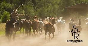Western Dude Ranch in Wyoming - Spotted Horse Ranch