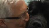 Paul O'Grady Says Goodbye to Peggy on For The Love Of Dogs