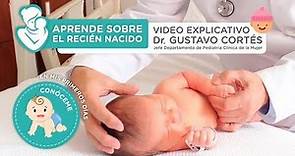 Aprende sobre el recién nacido - Vídeo explicativo