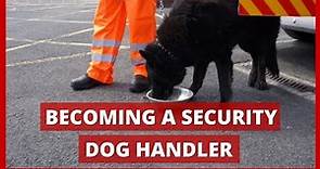 How To Become A Security Dog Handler