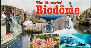 The Montréal Biodôme complete, what's in Biodome