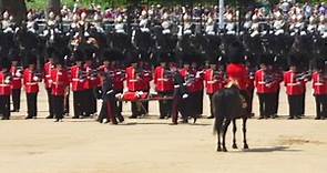 Colapsan en Londres 3 guardias reales británicos en ensayo de un desfile