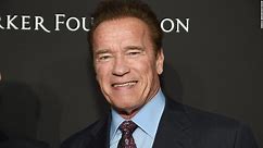 Video shows scene of Arnold Schwarzenegger crash