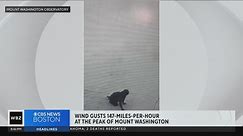 Video shows wind gusts of 147 miles per hour at the top of Mount Washington