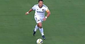 Javier Hernandez Chicharito 2 Amazing Goals
