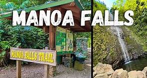 Manoa Falls | Oahu's most popular waterfall hike