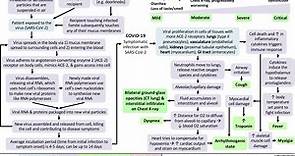 COVID-19: Pathophysiology and Clinical Findings | Calgary Guide