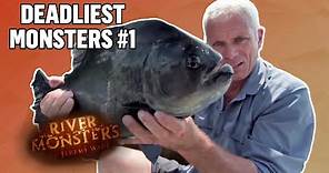 Deadliest Monsters #1 | COMPILATION | River Monsters