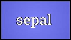 Sepal Meaning