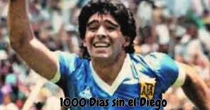 1000 días sin el Diego. 5 Hitos de Diego jugador: El Bicho, Boca, Napoli y la Selección Argentina