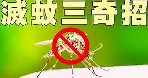 東張西望 | 實測坊間DIY滅蚊神器 邊樣最有效？