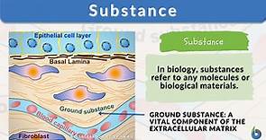 Substance - Definition and Examples - Biology Online Dictionary